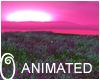 animated flower field