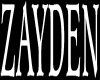 Custom Zayden Collar
