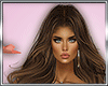 B* LiLac BUNDLE
