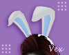 V. Bunny Ears V4
