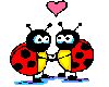 Animated Love Bugs