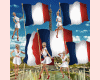 French flag ecds
