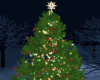 CHRISTMAS TREE w POSES