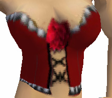 Burgandy Rose Corset