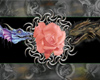 Scent of a Dragon