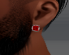 Ruby Earrings silver