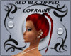 Red Blk Tipped Lorraine