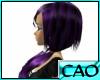 CAO PurpleFusion Chisuzu
