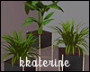[kk] Plants