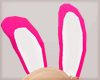 [ps] Bunny Ears Pink