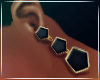  Onyx  Earrings