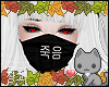 A| Surgical Mask 죽음