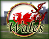 Wales Badge