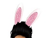 bunny ears pink