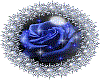 rose bleue animée