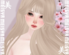 美 Richan