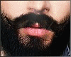 G/K-beard bl