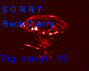 [R]Sorry - Buck Cherry
