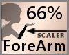 66% ForeArmScaler F A