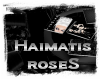 *TY Haimatis roseS