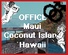 OFFICE COCONUT ISLAND