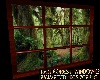 RAINING FOREST WINDOW 2