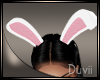 |D| Sexi Bunny Ears