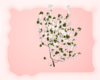 A: Floral ivy blush
