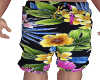 Hawaiian Shorts 2