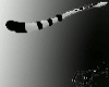 (Tro) Temptation tailv2