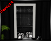 City Window/Black Blinds