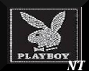 [NT] Playboy Radio