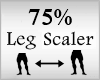 Scaler Leg 75%