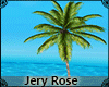 [JR] Palm Tree Animated