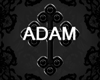 Adam Stocking
