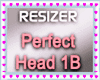 Perfect Head 1B