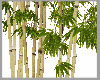 $ bamboo verana