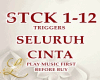 SELURUH CINTA