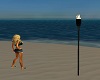 Paradise Island Torch