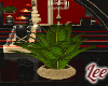 HNY2023~Plant
