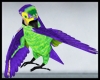 W ! * Shoulder Parrot *