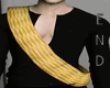 Star Trek Diplomat Sash