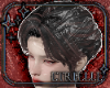 Enchanted Veil Hair v3