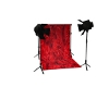 red carnation backdrop 2