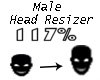 Scaler Head 117%