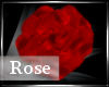 Rose Headpiece
