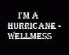 I'm a Hurricane-Wellmess