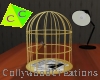 ~CC Bird cage 1