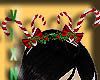 Holiday Crown