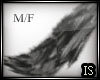  Grey Furry Tail M/F